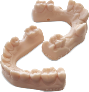 3D teeth model 1.png